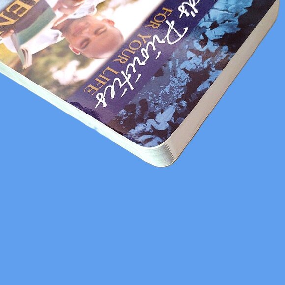 GOD'S PRIORITIES for Your Life for MEN ~ Paperback 318 Pgs ~ Excellent Condition - Picture 5 of 7